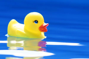 canard sextoy